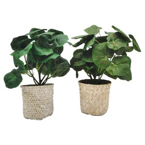 Artificial plant 12x4.5" plastic pot