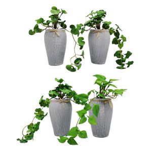 Artificial plant 5.5x2.5' plastic pot