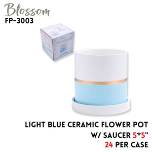 Flower Pot  w/saucer  5*5"  light blue