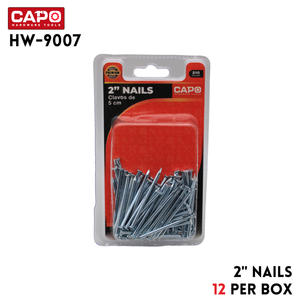 Nails 210g, 2"