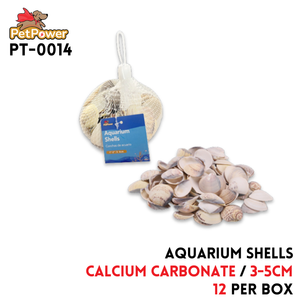 Shells 3-5cm,Calcium carbonate