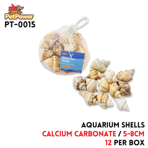 Shells 5-8cm,Calcium carbonate