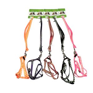 Collar 0.8" 6 colors, pu