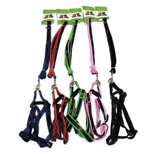 Collar 0.6" 4 colors,pu